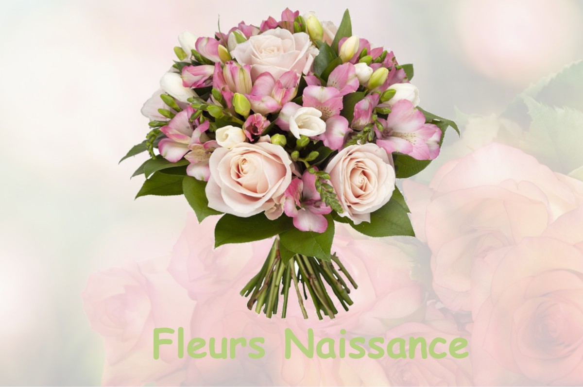 fleurs naissance SAINT-SIMEON-DE-BRESSIEUX