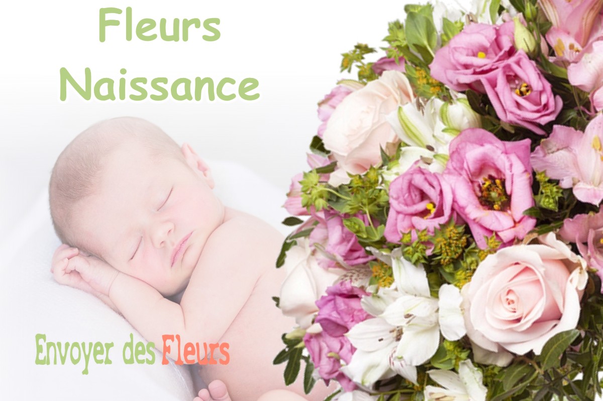 lIVRAISON FLEURS NAISSANCE à SAINT-SIMEON-DE-BRESSIEUX